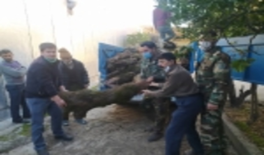 چشمان بیدار نیروهای منابع طبیعی جهت مقابله با قاچاق چوب