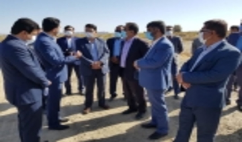 جنوب کرمان/ هزار هکتار جنگلکاری در رضاآباد رودبار جنوب اجرا شد