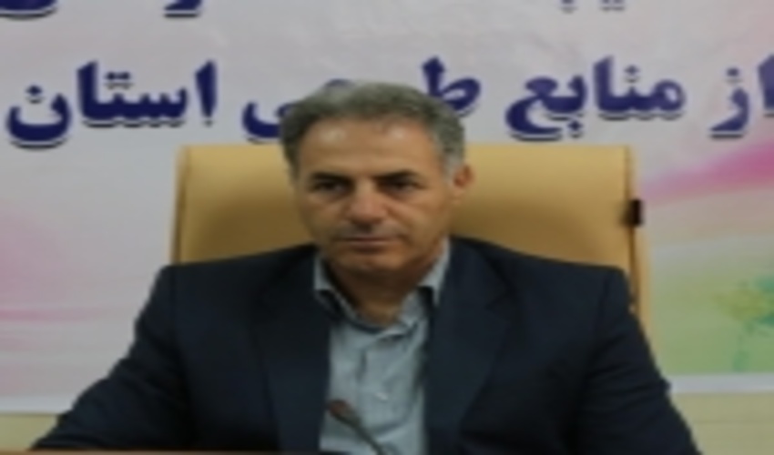 اراضی جنگلی ایلام باید به سطح یک میلیون هکتار برسد