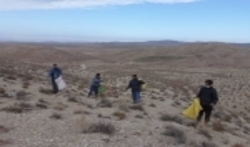 بهره برداران 900 هکتار از مراتع شهرستان سبزوار بذرپاشی و کپه کاری کردند