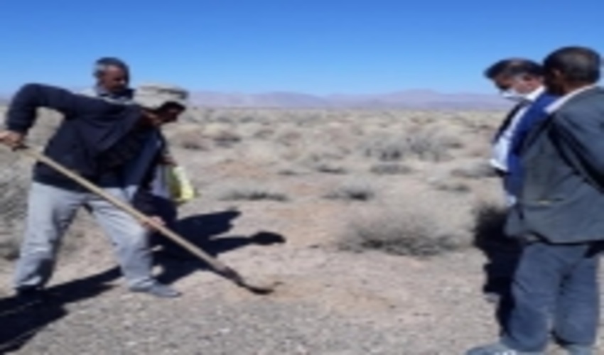 یزد/ ايجاد مزرعه الگويي آنغوزه تلخ در محدوده طرح ترسيب كربن شهرستان خاتم