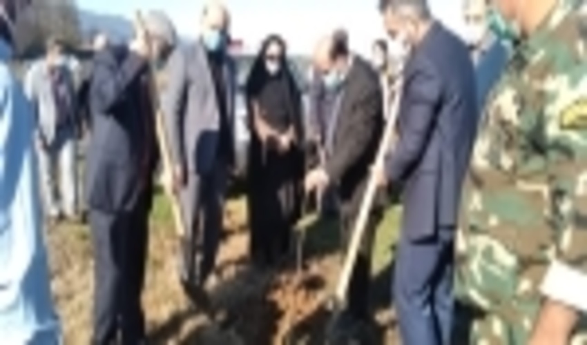 نهالکاری در راستای توسعه زراعت چوب در شهرستان چالوس