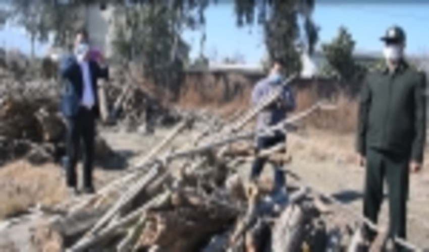 طی اجرای مانور قاچاق چوب 7 فقره پرونده قاچاق چوب و زغال در شهرستان کردکوی تشکیل شد