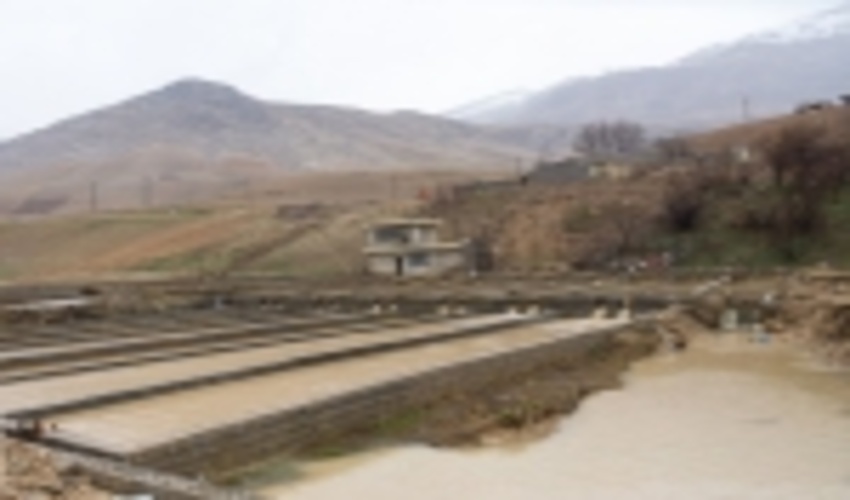 ۵۷ طرح منابع طبیعی در جنوب کرمان افتتاح یا کلنگ زنی می‌شود