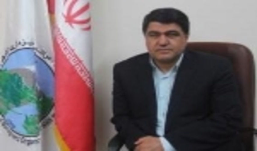 کاشت درخت با حضور خانواده سردار سلیمانی/فرهنگ سرسبزی ارتقا می یابد