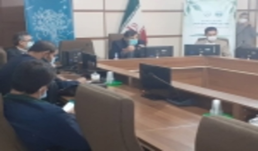 توزیع ۳۵۰ هزار اصله نهال در استان تهران