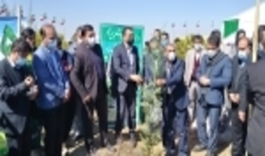 پارک جنگلی  250 هکتاری در همدان به مناسبت هفته منابع طبیعی افتتاح شد