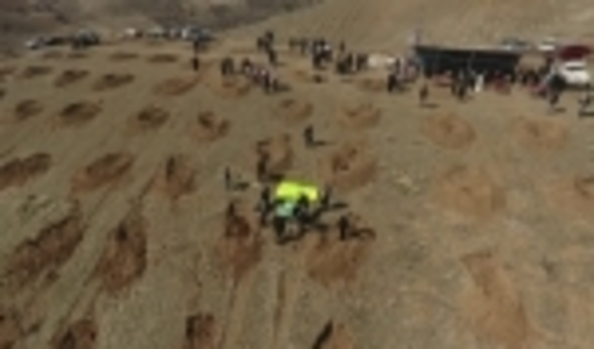 930  هکتاری اراضی ملی در سنندج جنگل‌کاری می‌شود