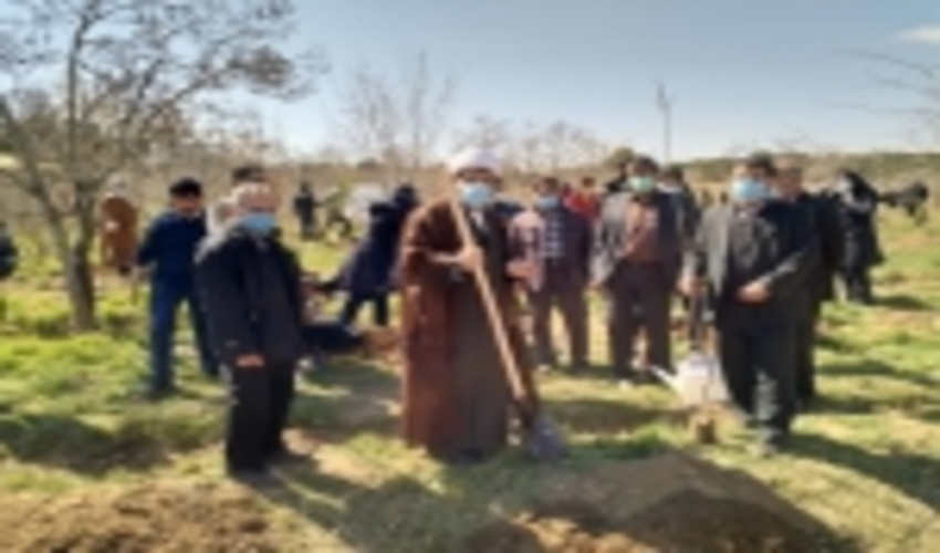 حجت الاسلام شهاب مرادی: درختکاری را از دوران مدرسه در کودکان نهادینه کنیم/ استارتاپ ها پای کار بیایند