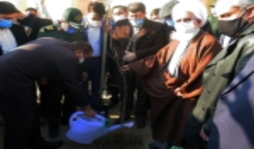 3535 نهال به یاد شهدای استان زنجان غرس شد