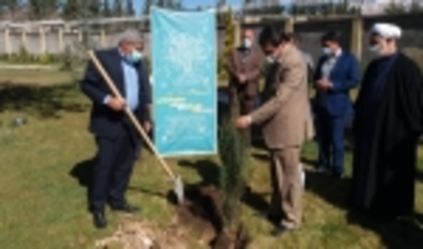 در سومین روز از هفته منابع طبیعی کاشت نهال با شعار فرهنگ و رسانه