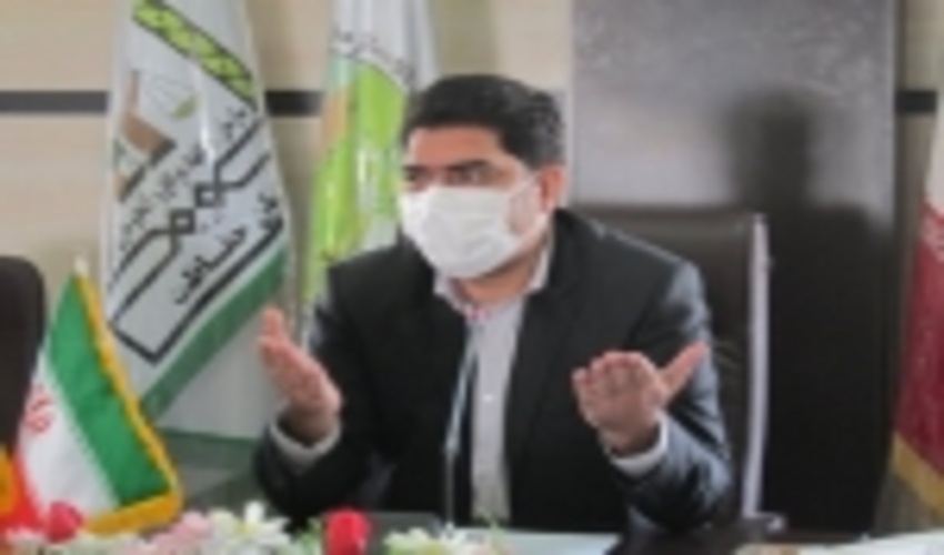 11هزار هکتار جنگل کاری در جنوب کرمان انجام شد