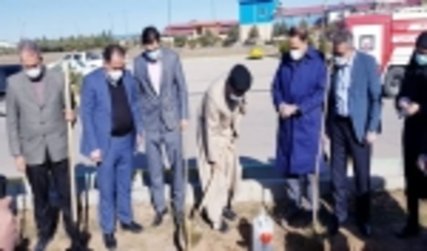  به مناسبت روز درختکاری؛ غرس نهال در شهرک های صنعتی استان قزوین آغاز شد