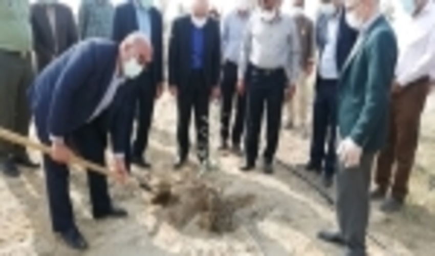 هرمزگان/ وظیفه ما حفظ و احیا پوشش گیاهی است