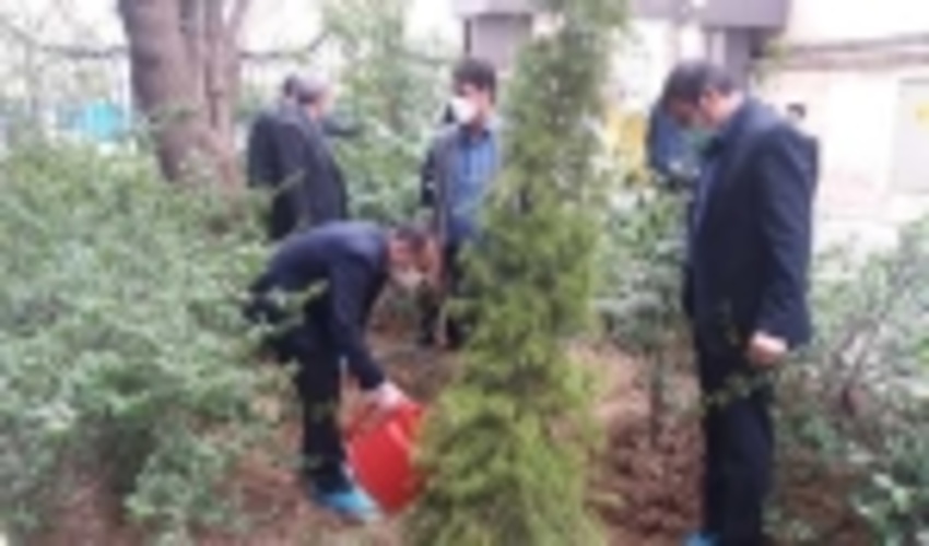 توسعه جنگل کاری و ایجاد فضای سبز یکی از نیازهای اصلی استان تهران