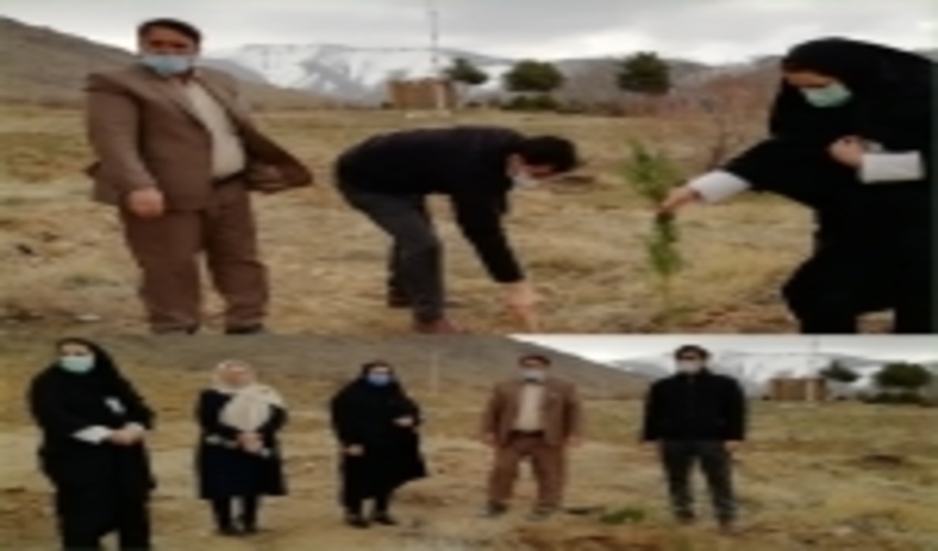 همدان/ افتتاح پارک جنگلی 40 هکتاری در تویسرکان در هفته منابع طبیعی