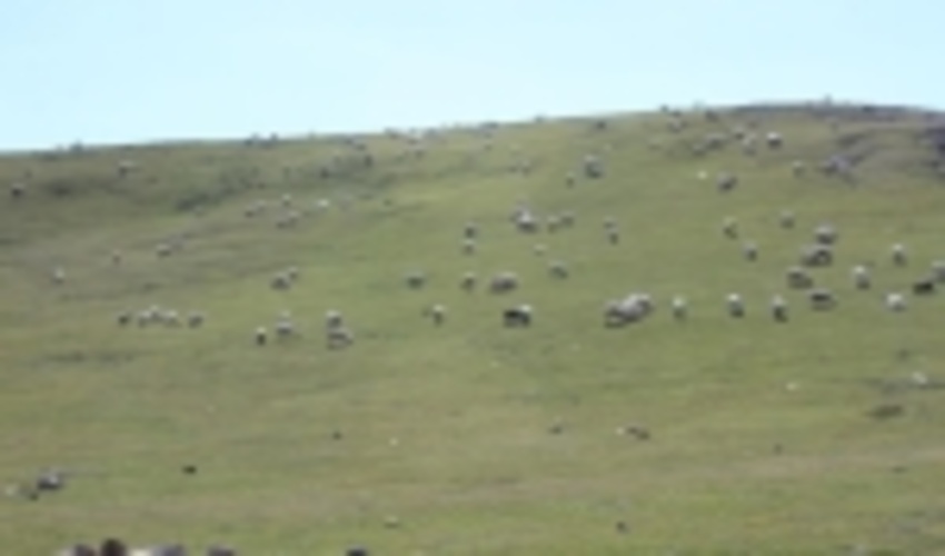 اردبیل/ بهره گیری از منابع آبی در مراتع خلخال ساماندهی شد