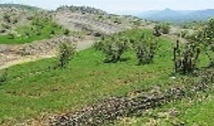 کردستان/خلع ید 150 هکتار از اراضی ملی کامیاران 