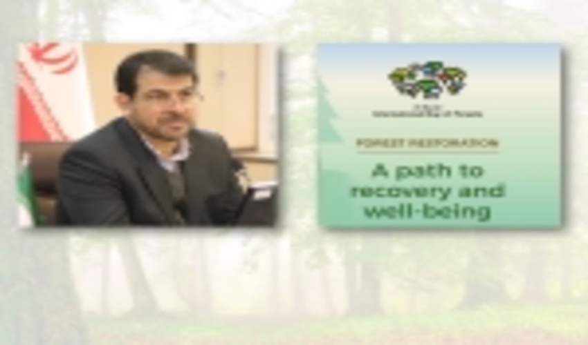 Statement by Head of FRWO on the Occasion of International Day of Forests