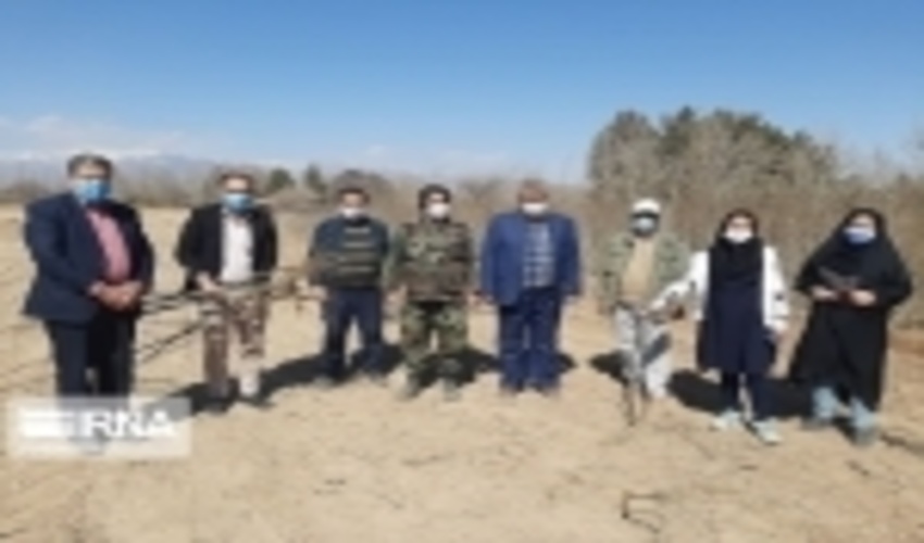 توزیع 60 هزار نهال همزمان با هفته منابع طبیعی و آبخیزداری در دامغان 