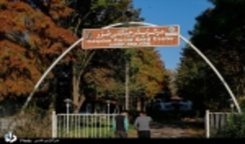 سایه روشن های مرکز بذر جنگلی خزر در گفت و گوی اختصاصی با رییس این مرکز