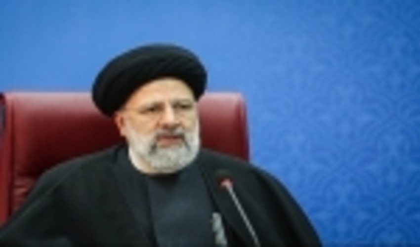 Verdicts Issued in Timber Smuggling Cases Should Be Deterrent