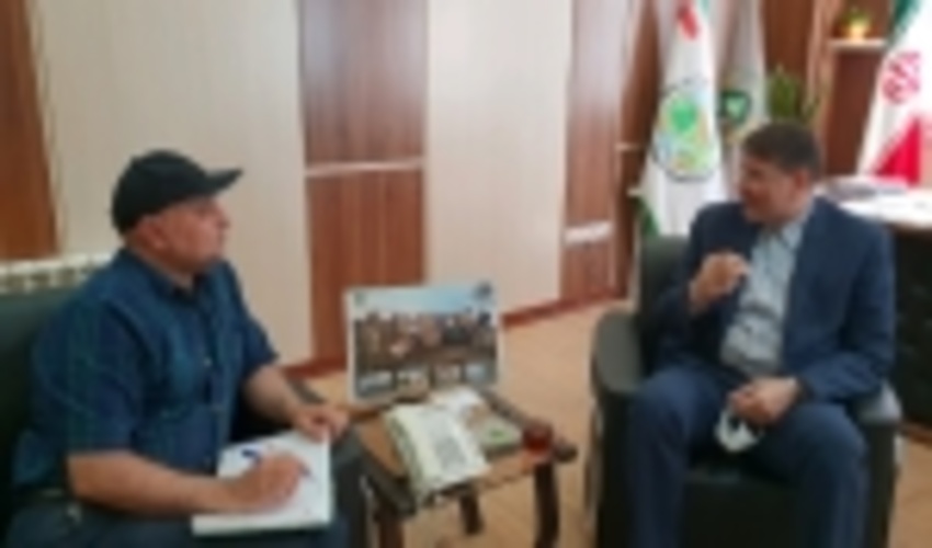 طرح زراعت چوب در استان قزوین اجرایی می شود