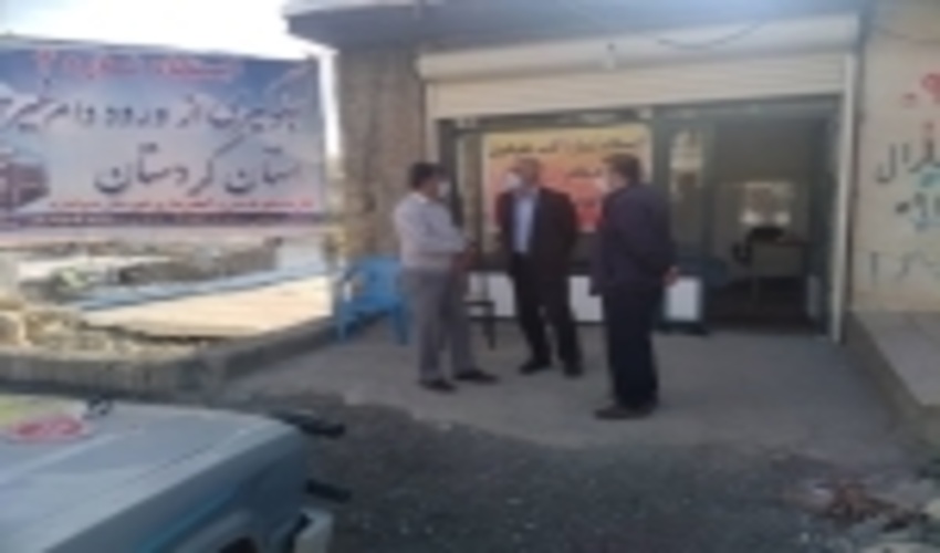  کنترل چرای دام در ۲۰۰ هزار هکتار از مراتع کردستان اجرا شد