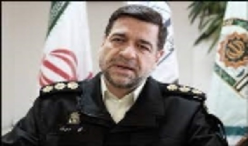 افزایش 35درصدی قاچاق چوب در کشور