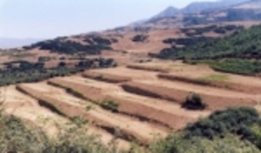 فارس/جلوگیری از وقوع سیل با وجود سازه های اجرا شده آبخیزداری