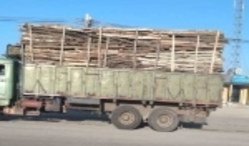 30 تن چوب قاچاق در شهرستان رزن به دست مامورین منابع طبیعی کشف وضبط شد