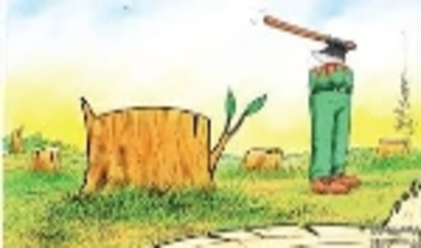 مامور منابع طبیعی در اردبیل بر اثر ضرب و شتم روانه بیمارستان شد