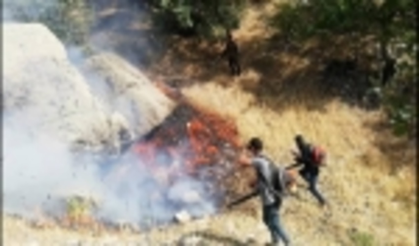 فارس/ مهار کامل سه فقره آتش سوزی در شهرستان ممسنی