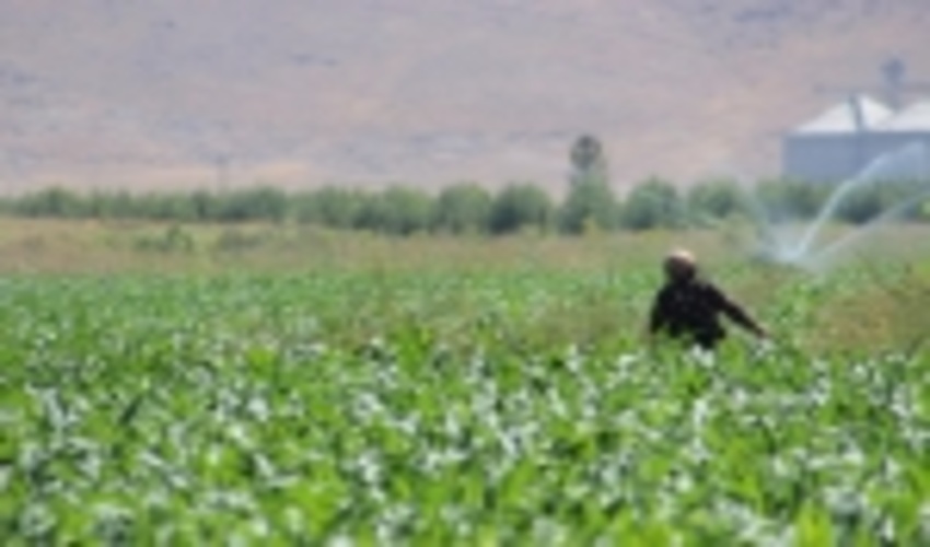 Beyond Recovery: Towards 2030