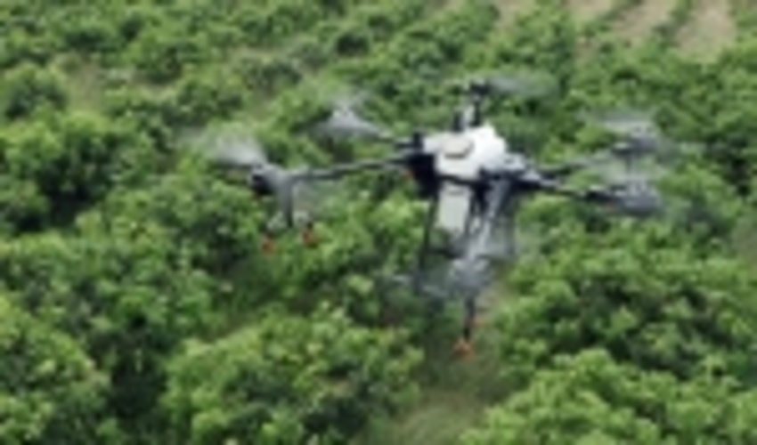 210‏‎ ‎ساعت پرواز برای سمپاشی جنگل‌های آذربایجان غربی ‏