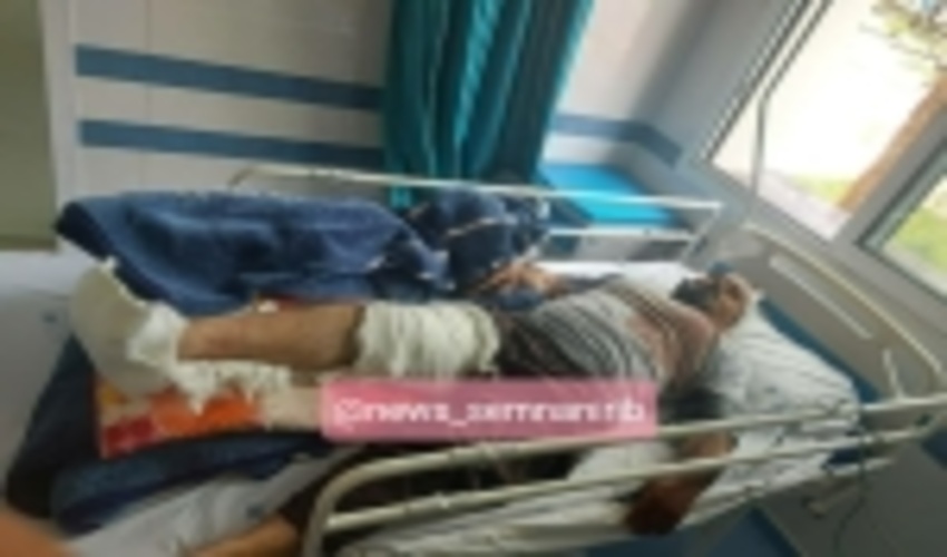 دفاع از طبیعت به چه قیمتی، داستانی دنباله دار که هرروز تکرار می شود؟!