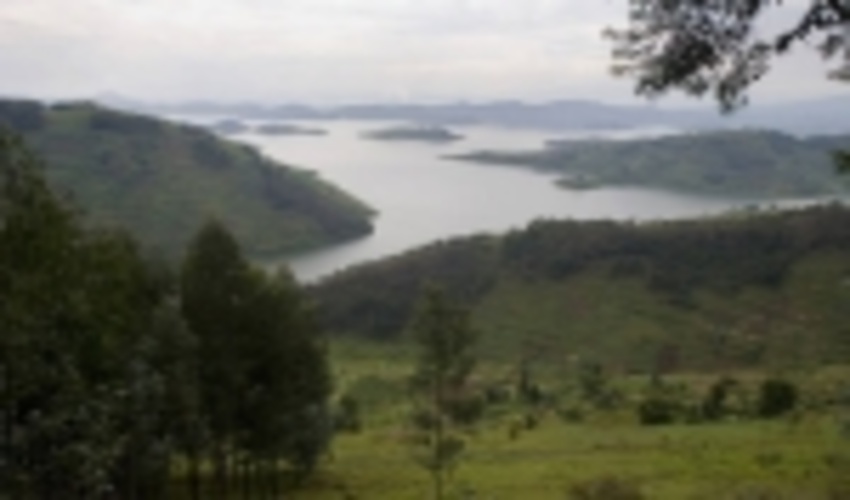 FAO-UNEP call for bold move to restore world’s ecosystems