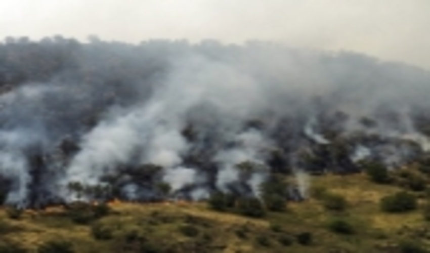 ۸۶ کانون مستعد آتش سوزی در عرصه های طبیعی ایلام شناسایی شد