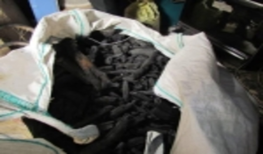 جنوب کرمان/ ۲ کوره تولید زغال غیرمجاز در کهنوج مهندم شد