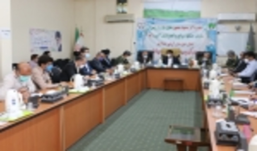 لزوم جایگزینی کشت گیاهان دارویی با کشت دیم/ ۸۱ هزار هکتار عرصه‌های بیابانی نهالکاری شده اند