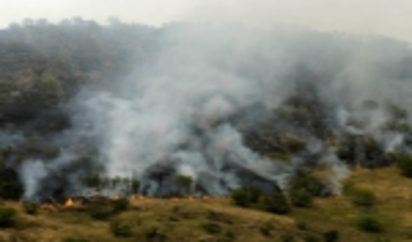 لرستان/ 300 ساعت عملیات احداث آتش بر در مناطق بحرانی سلسله انجام شد