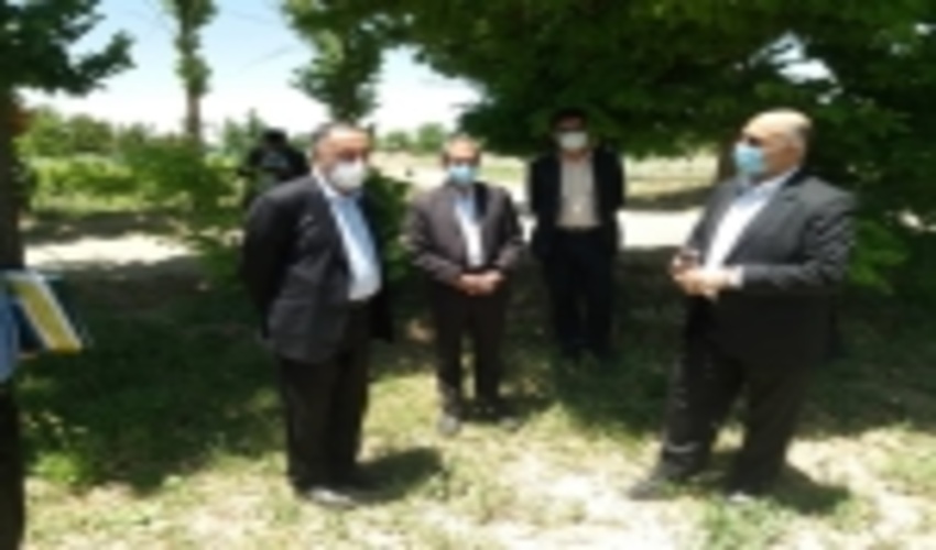 نهالستان ملایر توان تولید ۲ میلیون اصله نهال را دارد