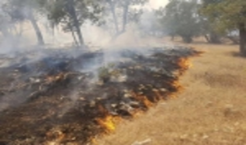 احتمال اطفای آتش‌سوزی کوه حاتم تا پایان امروز