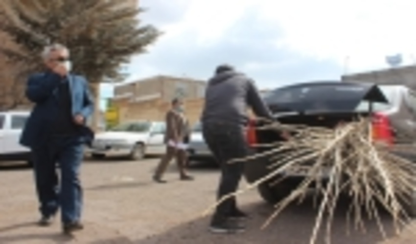 یک میلیون و ۵۰۰ هزار اصله نهال صنوبر در استان اردبیل توزیع شد