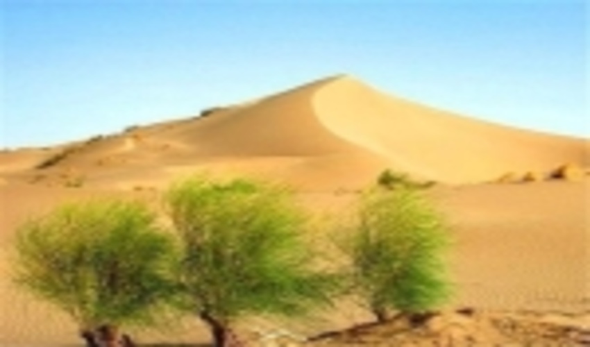 بیابان زایی؛ دردی که به جان زمین افتاده !