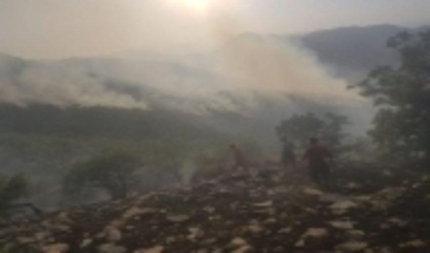 کردستان/آتش‌سوزی در جنگل‌های مریوان مهار شد