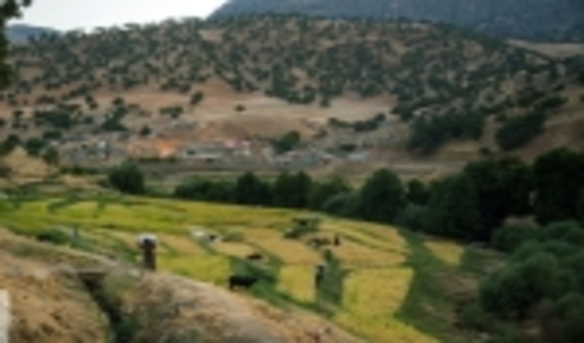 هفت میلیارد ریال برای حفاظت از منابع طبیعی آذربایجان غربی اختصاص یافت