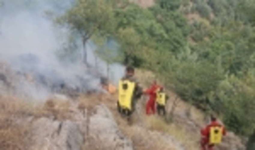 آتش سوزی جنگل‌های گالیکش با هفت مصدوم اطفا شد