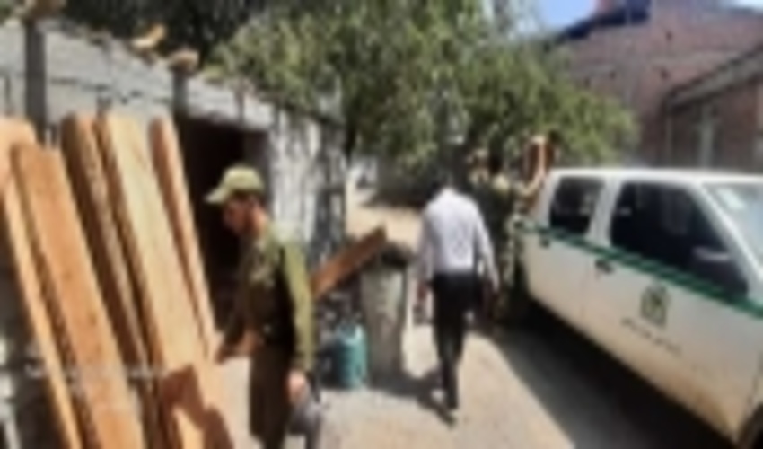کشف 92 اصله الوار قاچاق جنگلی در استان اردبیل