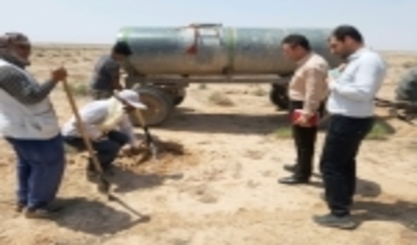 خراسان رضوی/اجرای آبیاری سنواتی ۲۰۰ هکتار اراضی نهالکاری شده شهرستان تربت جام